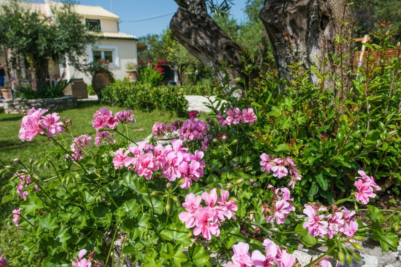 Corfu Villa Linea Línia Exterior foto